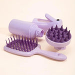 Set de Coiffure : Brosses + Vaporisateur